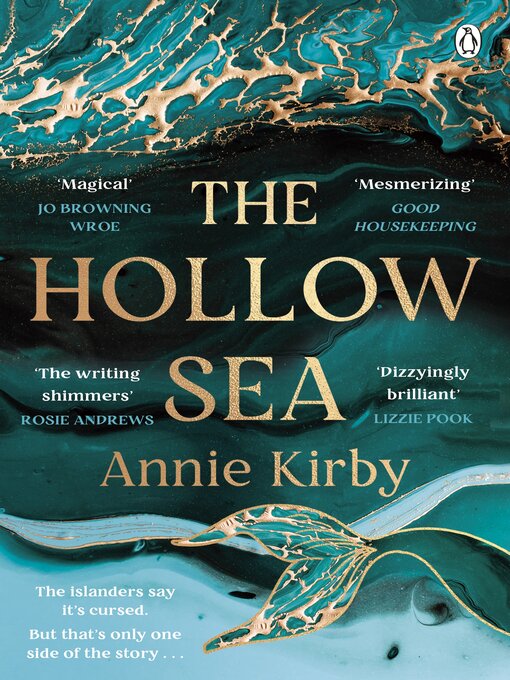 Cover image for The Hollow Sea